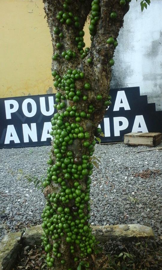 Pousada Ana Poipa Goiânia Esterno foto